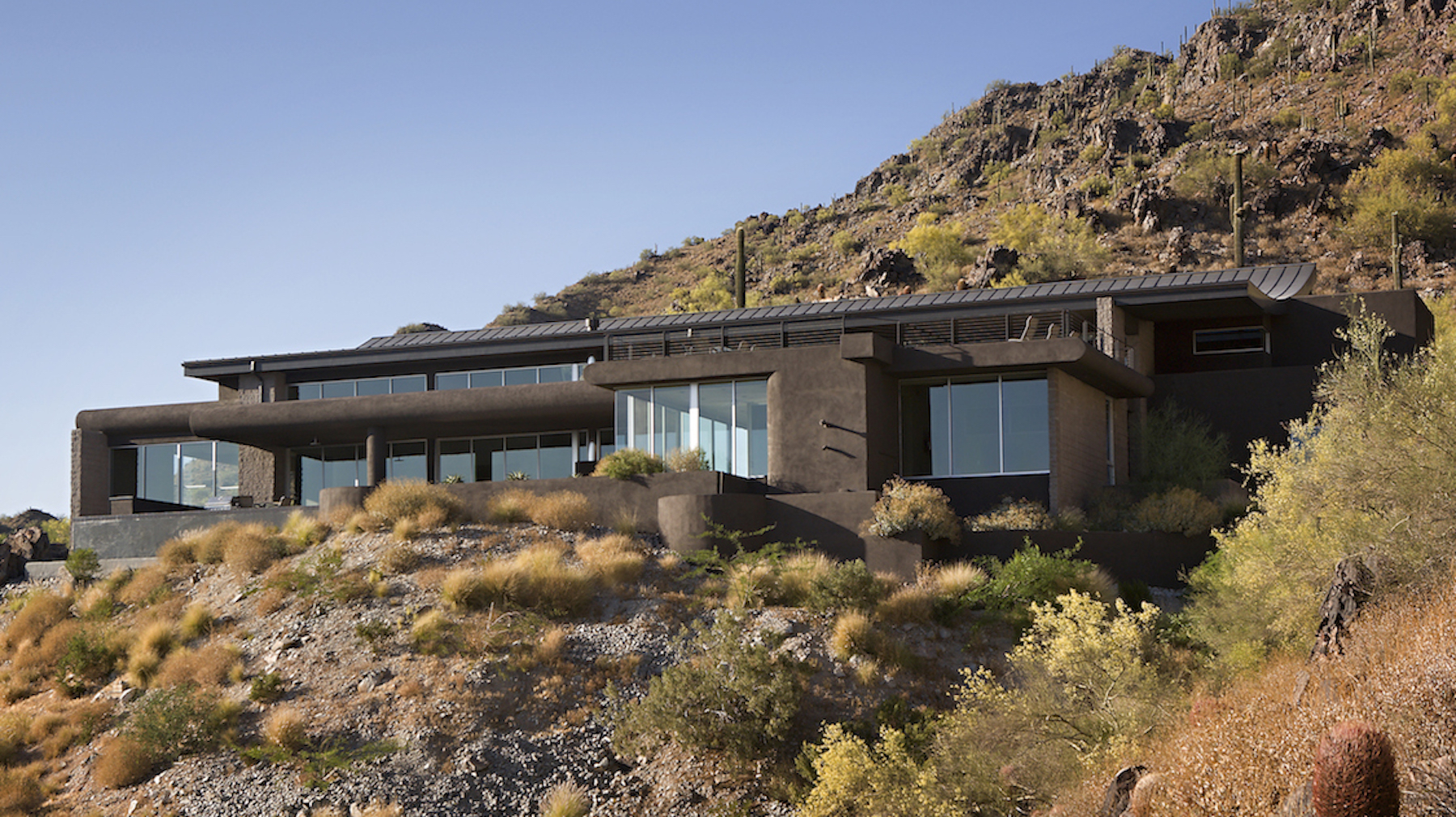 Palm Canyon Featured Photo 3