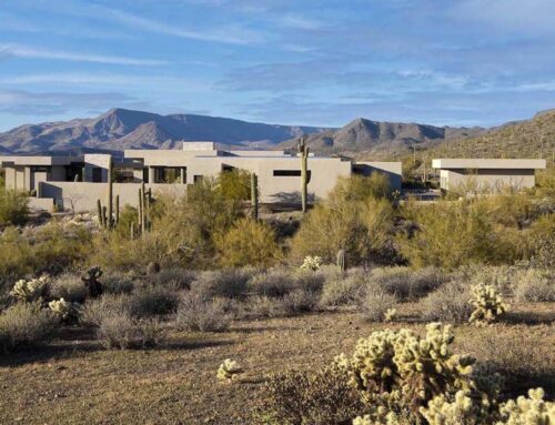 Desert Haven